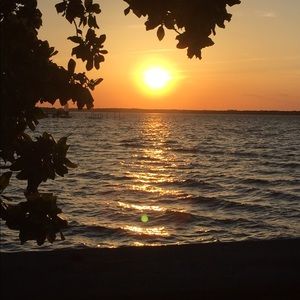 Meet your Posher, Darlene